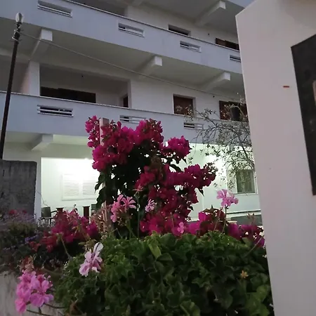 Bali * Durrës